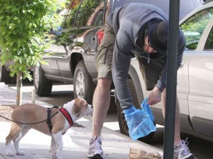 Catanzaro – Strade più pulite e detentori di cani meno “distratti”