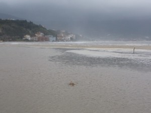 FOTO | 02/02/2014 – Mare in tempesta a Soverato