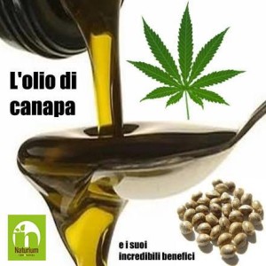 L’olio di Canapa e i suoi incredibili benefici