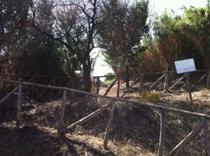 FOTO | Finalmente torna a essere fruibile la necropoli rupestre di San Nicola a Soverato