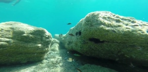 VIDEO | Underwater – Calabria