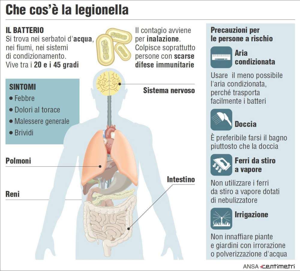 Legionella: Istituto Sanità, ecco come si trasmette