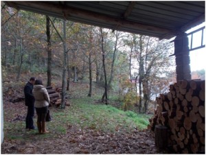 Un castagneto a Viterale (Serrastretta)  