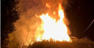 Badolato – Individuato mentre appiccava incendio, 61enne arrestato