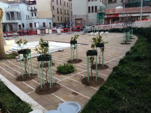 Catanzaro – Pronta la nuova piazza Matteotti